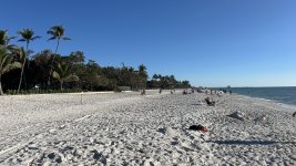 IMG_5410.JPEG