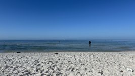 IMG_5447.JPEG