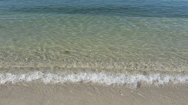 IMG_5453.JPEG