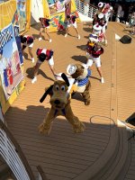 IMG_3311.jpg