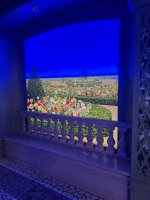 IMG_3377.jpg