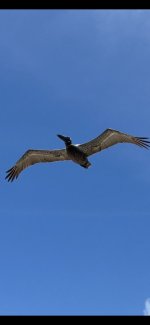 7B1E5D91-5A25-4DDA-BC29-34A95F90EFC6.jpeg
