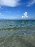 D4262E16-76EE-49B2-8FD9-DE39DE87F405.jpeg