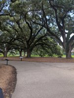 PXL_20250601_182329217.jpg