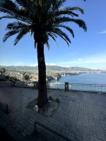 IMG_3986.jpg