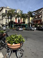 IMG_3994.jpg