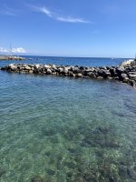 IMG_4134.jpg