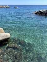 IMG_4135.jpg