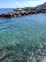 IMG_4163.jpg