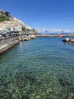 IMG_4195.jpg