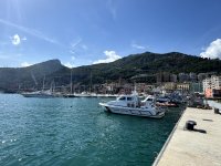 IMG_4207.jpg