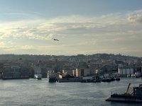 IMG_4231.jpg