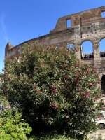 IMG_4300.jpg