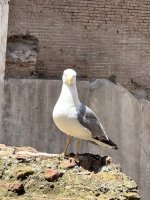 IMG_4454.jpg