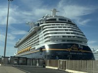 IMG_4557.jpg
