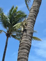 IMG_4689-1.JPG