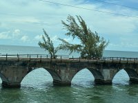IMG_4820-1.JPG