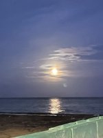 IMG_1901-1.jpg