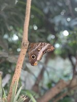 IMG_E192-0.jpg