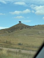 IMG_4350.jpeg