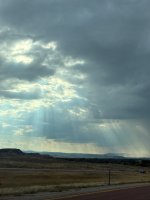IMG_4361.jpeg