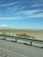 IMG_4384.jpeg