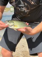 IMG_4440.jpeg