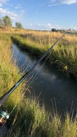 IMG_2249.jpeg