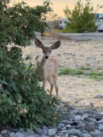 IMG_4519.jpeg