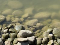 IMG_4450.jpeg