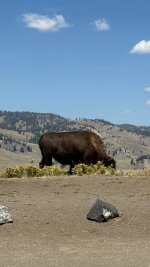 IMG_2318.jpeg