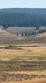 IMG_2293.jpeg