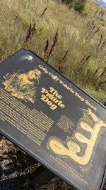 IMG_2375.jpeg