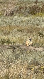 IMG_2380.jpeg