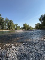 IMG_4674.jpeg