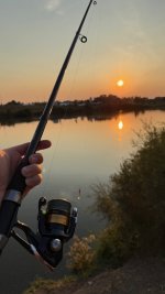IMG_2441.jpeg
