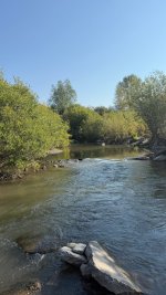 IMG_2427.jpeg