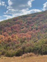 IMG_4834.jpeg