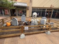 IMG_4877.jpeg