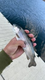 IMG_2972.jpeg