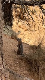 IMG_2917.jpeg