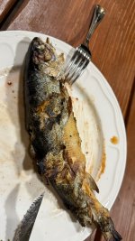 IMG_3030.jpeg