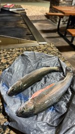 IMG_3023.jpeg