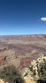 IMG_3177.jpeg