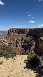 IMG_3183.jpeg