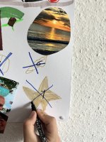 IMG_5729.jpeg