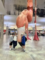 IMG_5872.jpeg