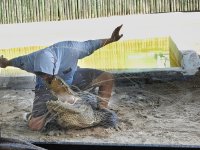 alligatorshow2-neo.jpg alligatorshow2-neo.jpg