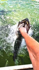20250815_093920(2)(1).jpg 20250815_093920(2)(1).jpg