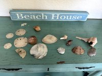 IMG_0461.jpg